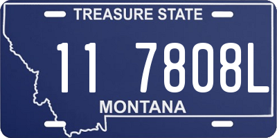 MT license plate 117808L