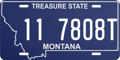 MT license plate 117808T