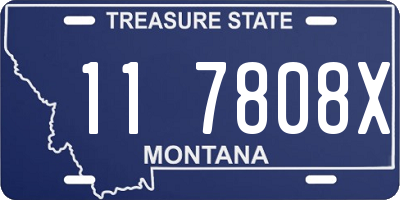 MT license plate 117808X