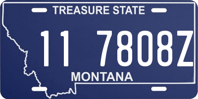 MT license plate 117808Z