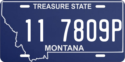 MT license plate 117809P