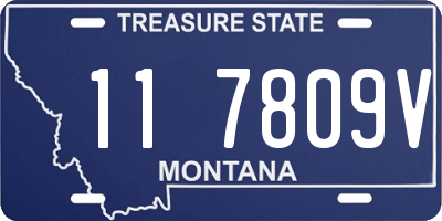 MT license plate 117809V