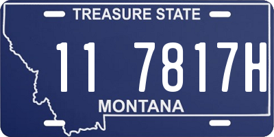 MT license plate 117817H