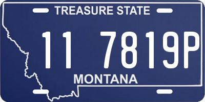 MT license plate 117819P