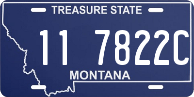 MT license plate 117822C