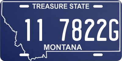 MT license plate 117822G