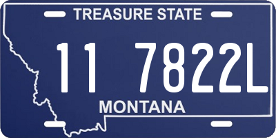 MT license plate 117822L