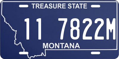 MT license plate 117822M