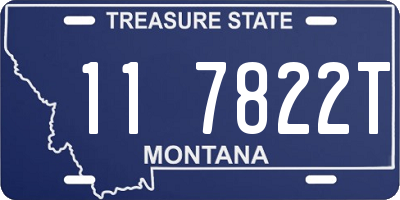 MT license plate 117822T