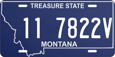 MT license plate 117822V