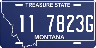 MT license plate 117823G