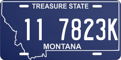 MT license plate 117823K