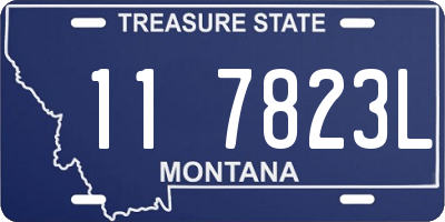 MT license plate 117823L