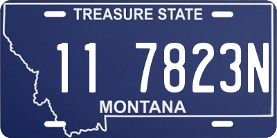 MT license plate 117823N