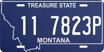 MT license plate 117823P