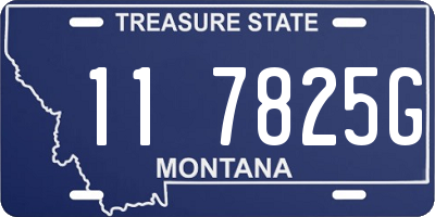 MT license plate 117825G