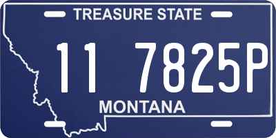 MT license plate 117825P
