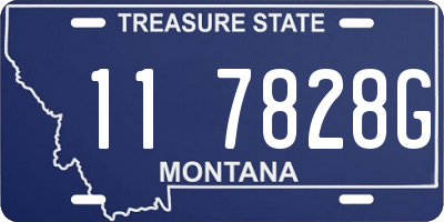 MT license plate 117828G