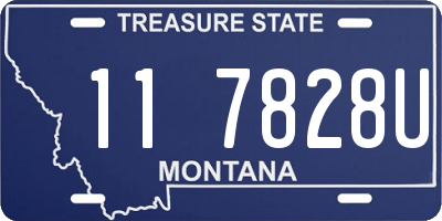 MT license plate 117828U
