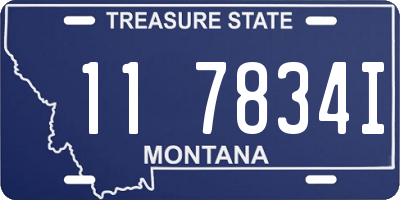 MT license plate 117834I