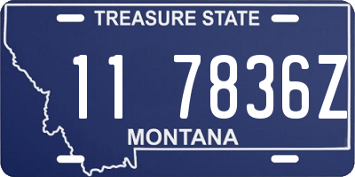 MT license plate 117836Z