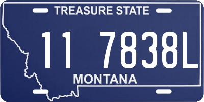 MT license plate 117838L