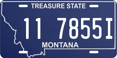 MT license plate 117855I