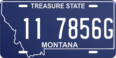 MT license plate 117856G
