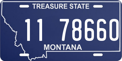 MT license plate 117866O