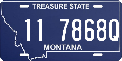 MT license plate 117868Q