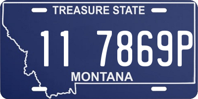 MT license plate 117869P