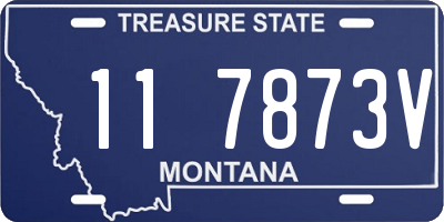 MT license plate 117873V