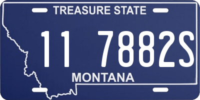 MT license plate 117882S