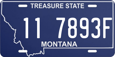 MT license plate 117893F