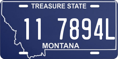 MT license plate 117894L