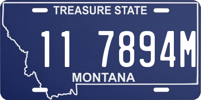MT license plate 117894M