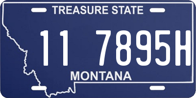 MT license plate 117895H