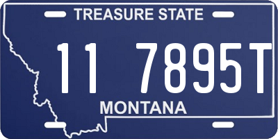 MT license plate 117895T