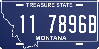 MT license plate 117896B