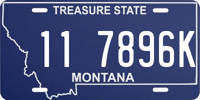 MT license plate 117896K