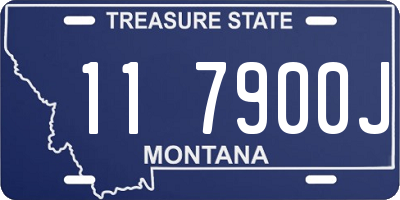 MT license plate 117900J
