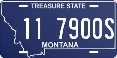 MT license plate 117900S