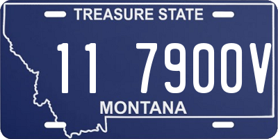 MT license plate 117900V