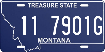 MT license plate 117901G
