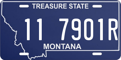 MT license plate 117901R