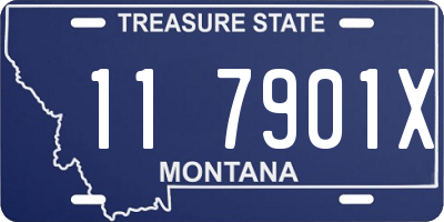 MT license plate 117901X