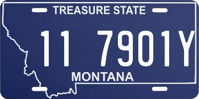 MT license plate 117901Y