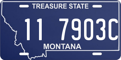 MT license plate 117903C