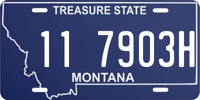 MT license plate 117903H