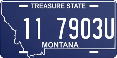 MT license plate 117903U